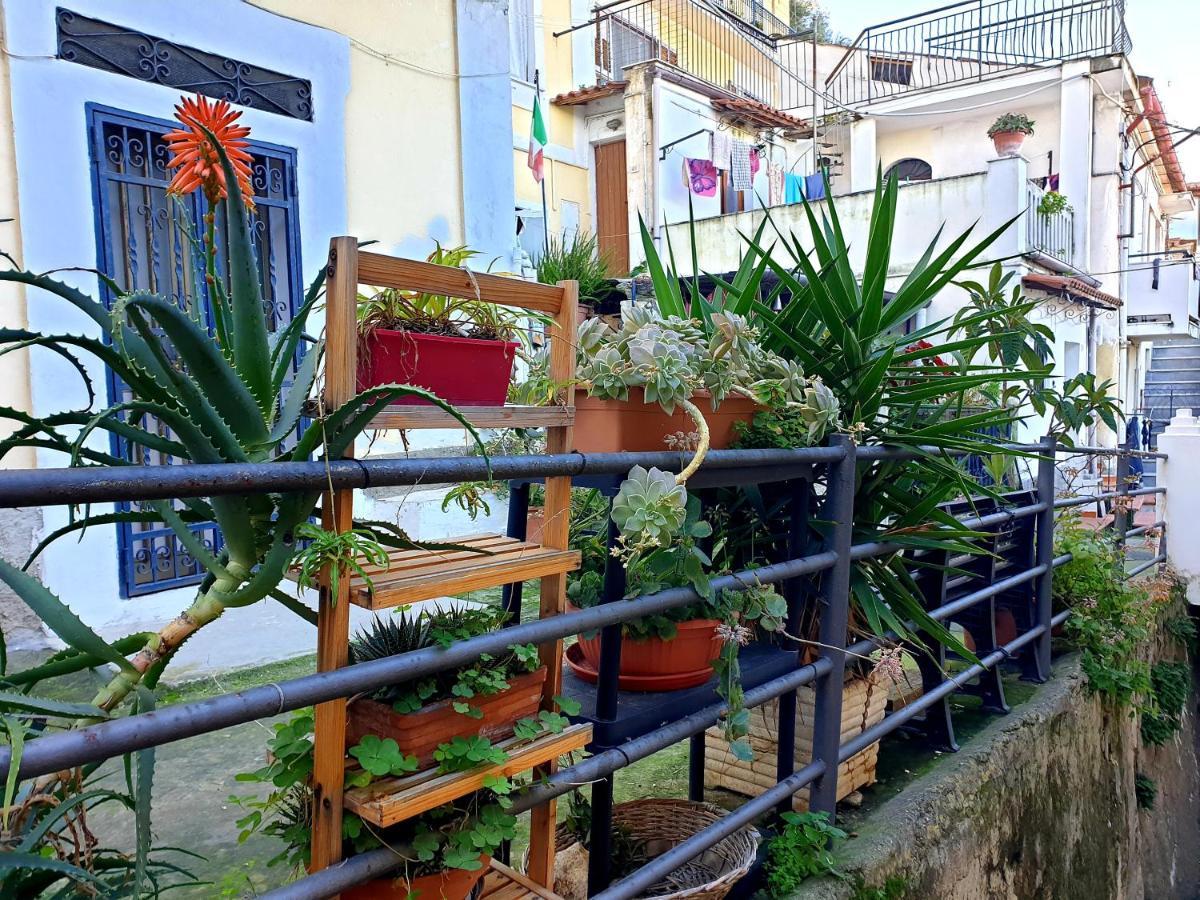 2 Bed Apartment In The Historical Center Pizzo ปิซโซ ภายนอก รูปภาพ